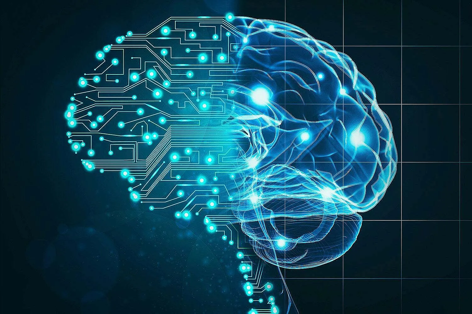 Brain Health And Human Skills Deserve Sustained Investment Alongside Artificial Intelligence Infrastructure