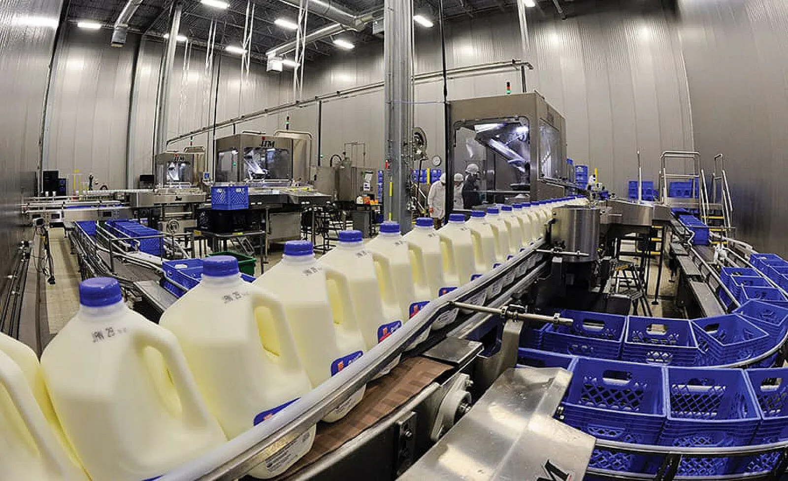 Dairy Industry Survey Connects Margin Pressure With Business Growth And Sustainability Choices
