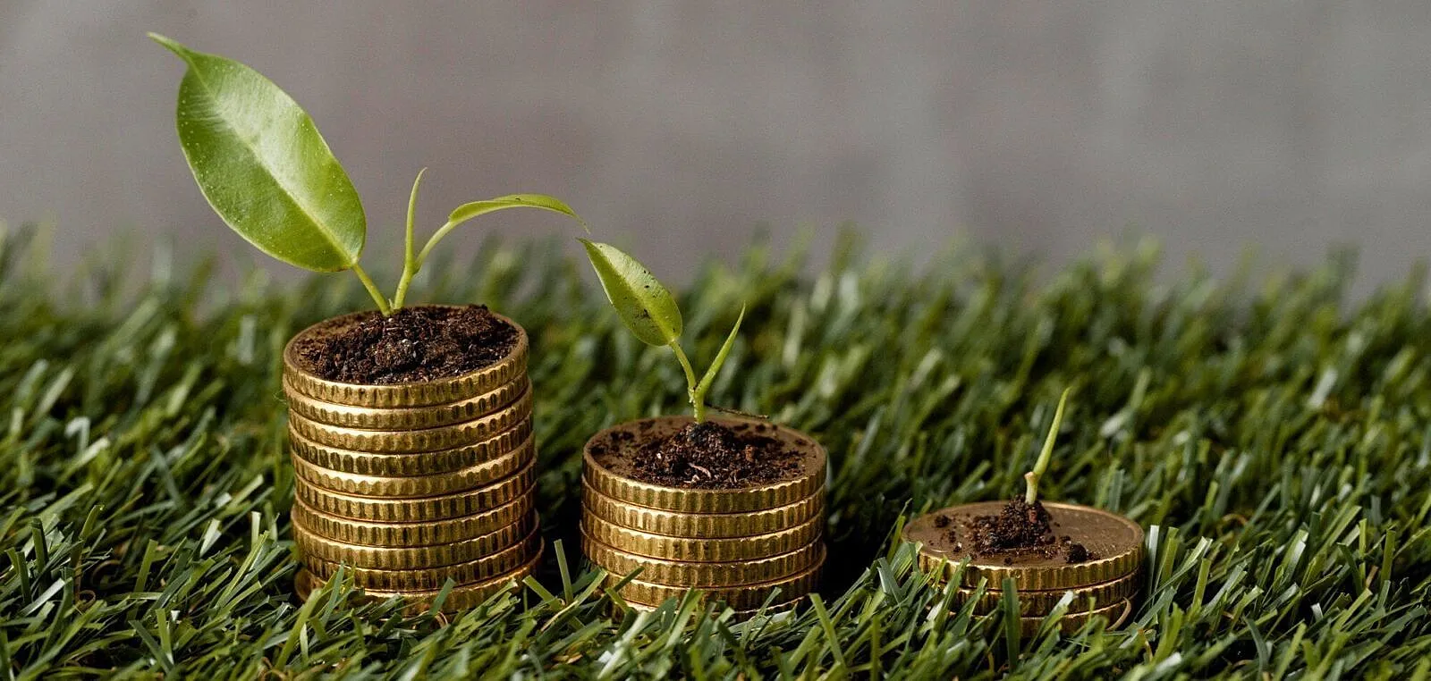 Nigeria’s Climate Finance Gap Demands National Coordination Beyond Individual Energy Transition Deals