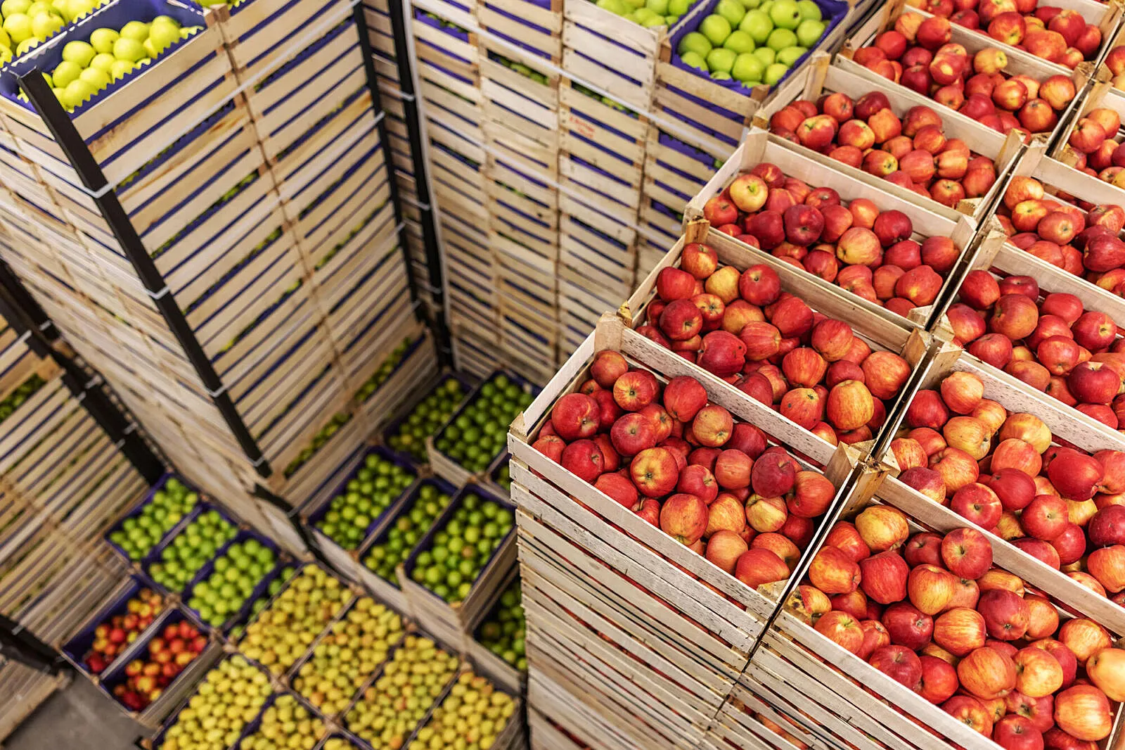 Refrigerating The Future: How Cold Chain Infrastructure Can Save Africa’s Food, Health, and Circular Economy
