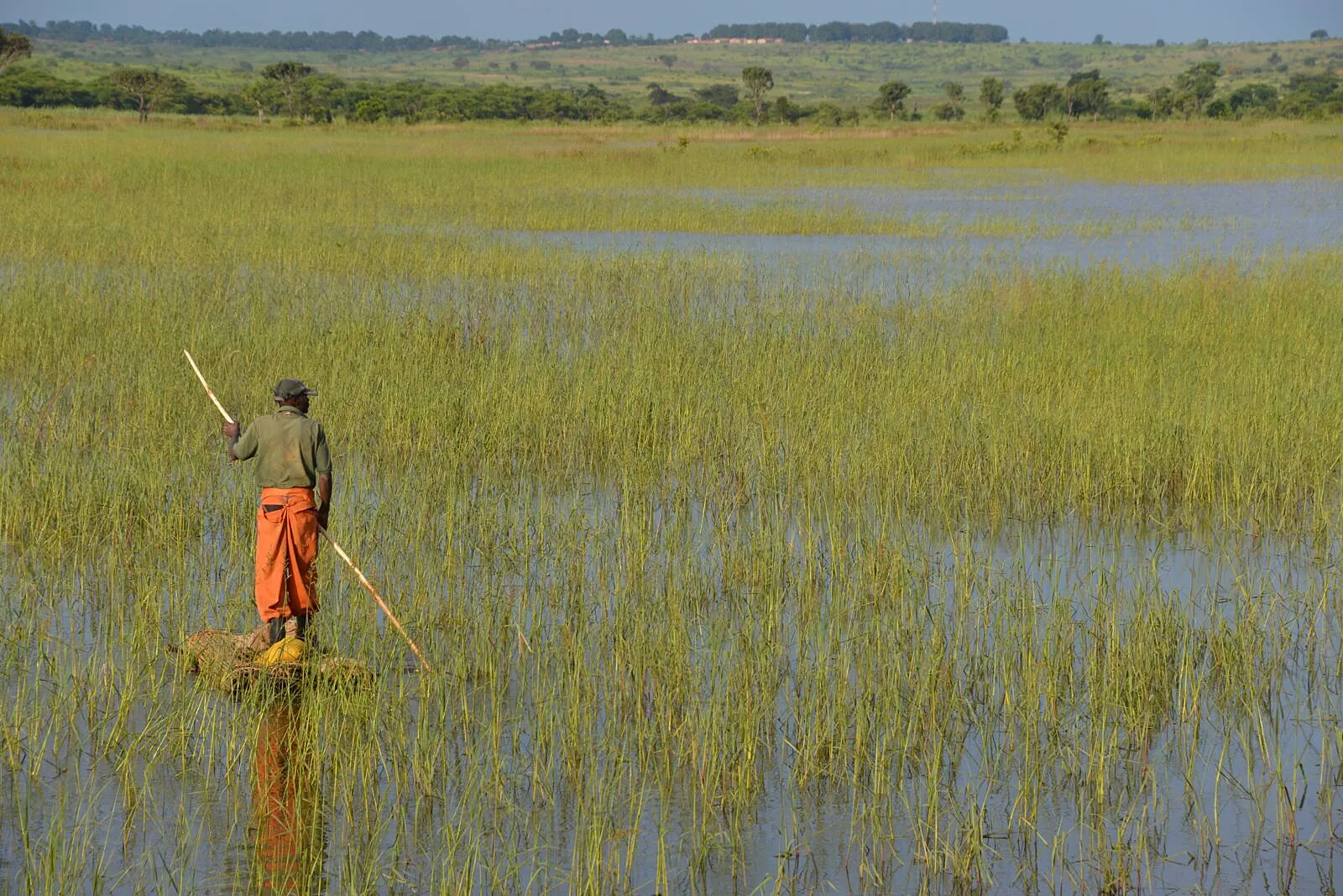 South Africa Eyes Article 6 Reforms to Unlock Carbon Markets and Nature-Based Climate Finance