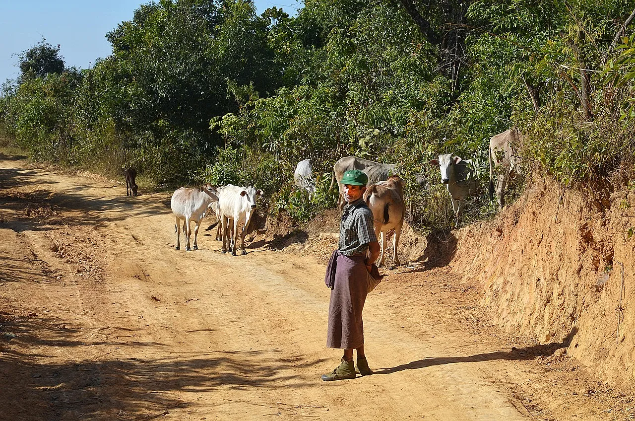 Putting Farmers At Methane’s Frontline To Secure Food And Climate Futures