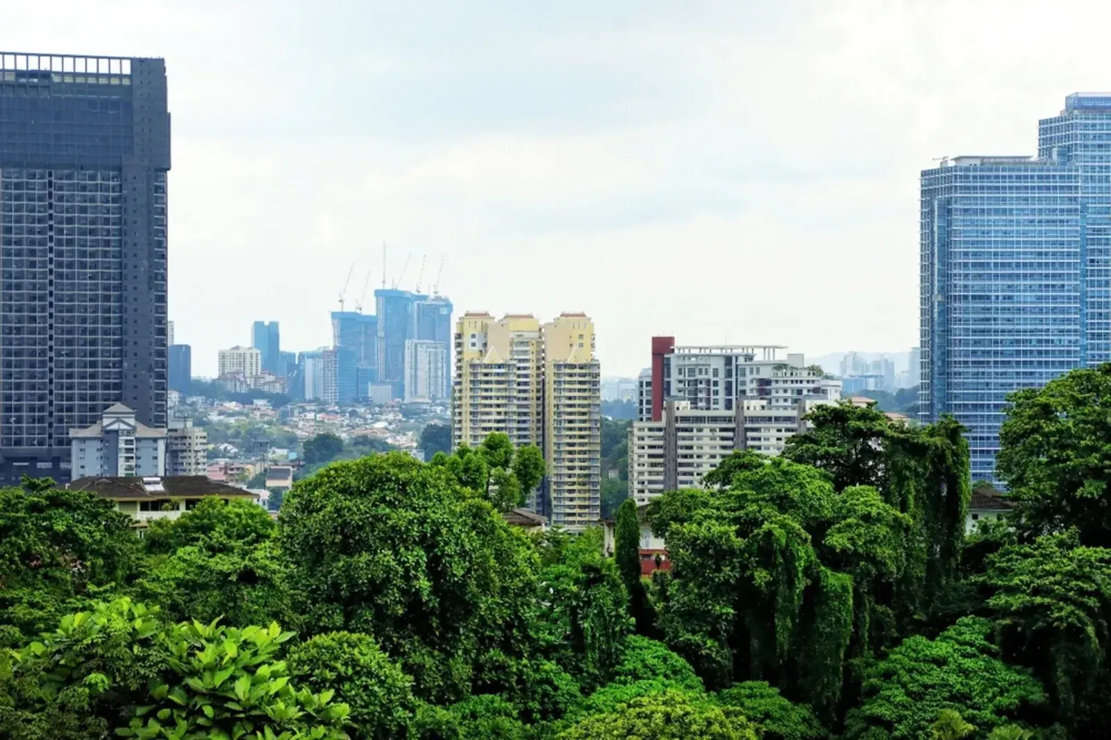 Aceli Africa’s ESG Model Signals New Blueprint for Mobilising Private Capital into Smallholder Agriculture