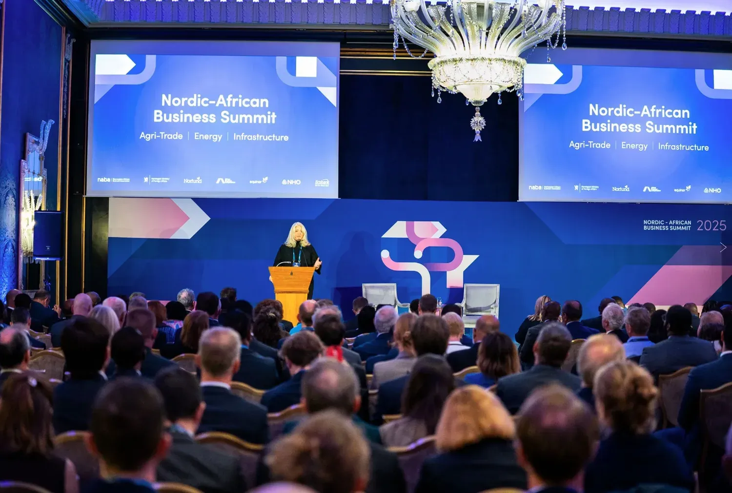 Denmark’s Africa Partnership Must Turn Nordic Capital Into African Ownership and Agency
