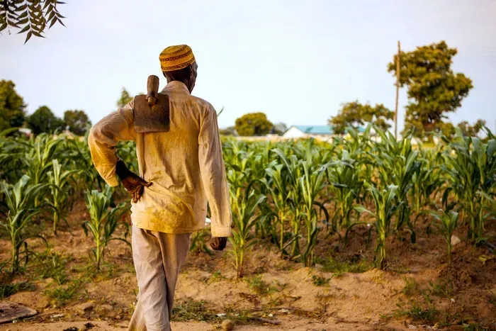 Farmerline Connects African Farmers to Information, Capital, Markets and Lasting Rural Prosperity