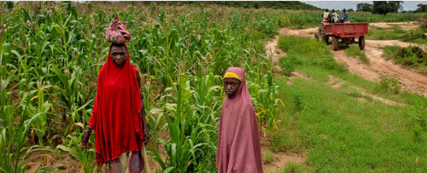 Food Security Pressures Rise As Climate, Conflict and Fertiliser Shocks Converge Worldwide