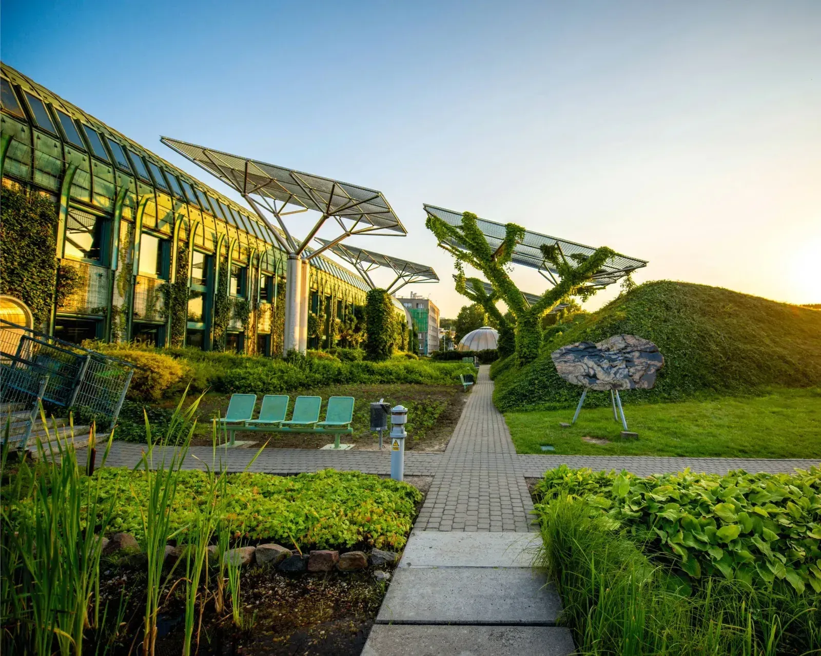 Green, Climate, Biodiversity Finance – What African Corporations Must Know Before Raising Capital