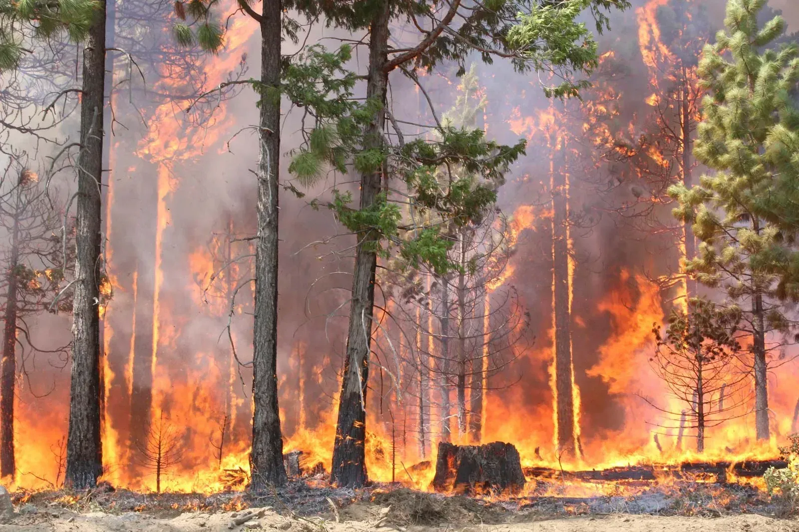 Physical Climate Risk Is Now a Board Accountability Test for Corporate Resilience