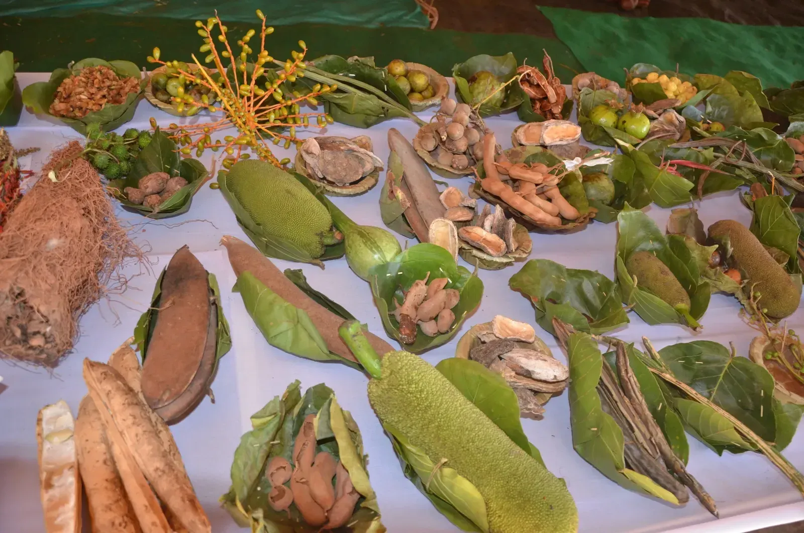 The Food We Never Eat Deepens Hunger And Adds Pressure On Forests