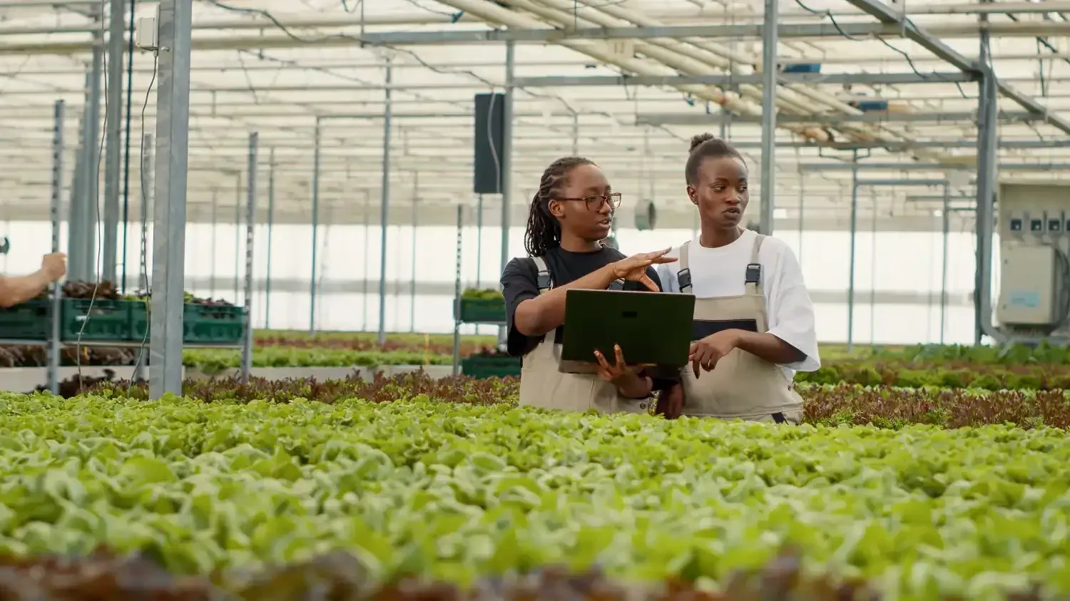 Women Must Become Architects, Owners and Leaders of Africa’s Green Transition