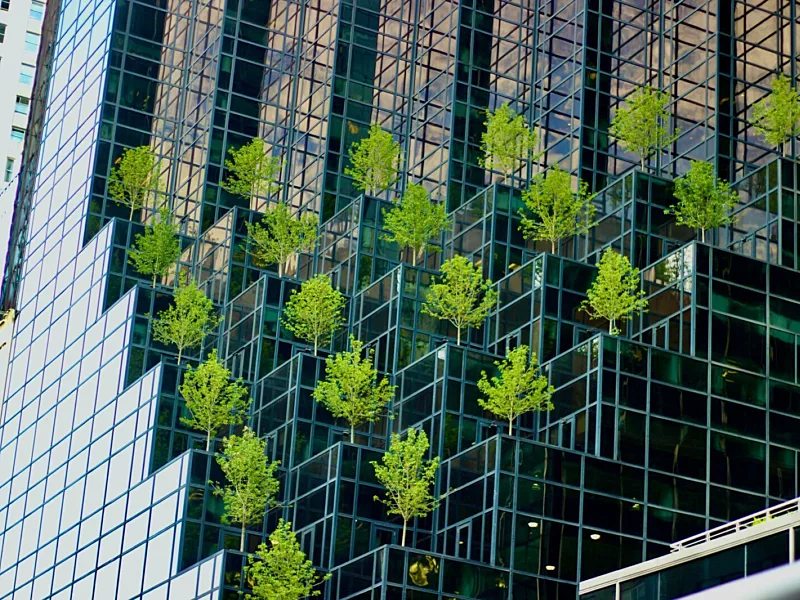 Green Bonds Rise as Africa Seeks Capital for Climate-Resilient Infrastructure and Growth