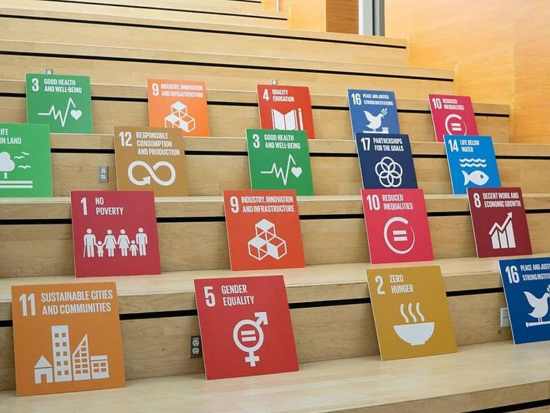 Understanding the SDGs Requires More Than Icons; It Demands Systems Thinking