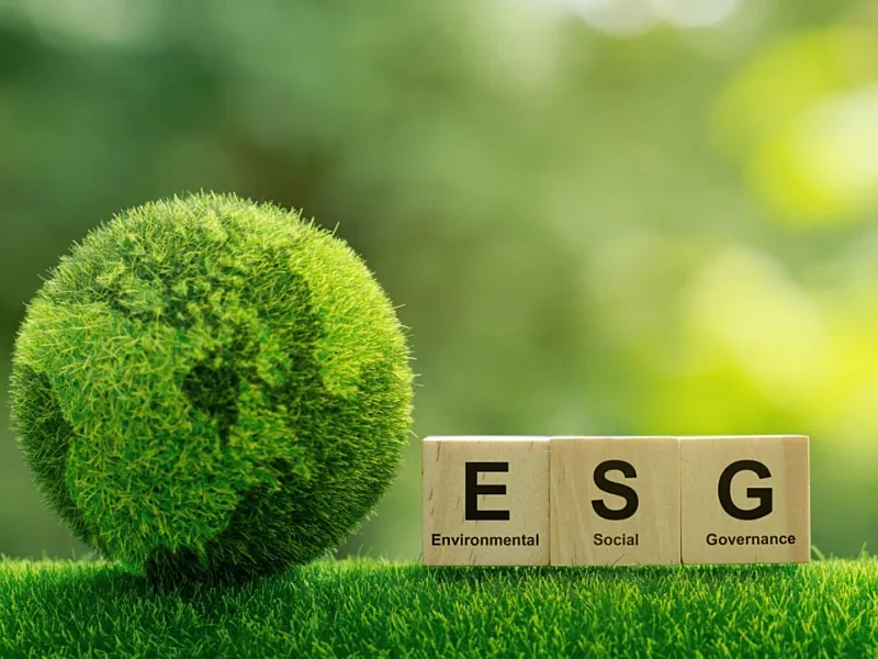 The Sustainability Integration Puzzle: How African Corporations Can Turn ESG Into Enterprise Value