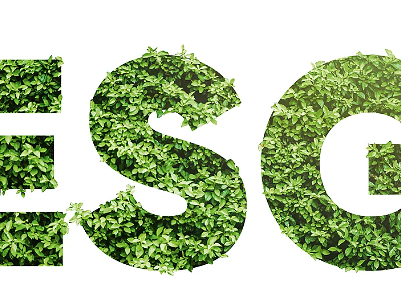 The Four ESG Maturity Stages That Every African Business Must Navigate Today