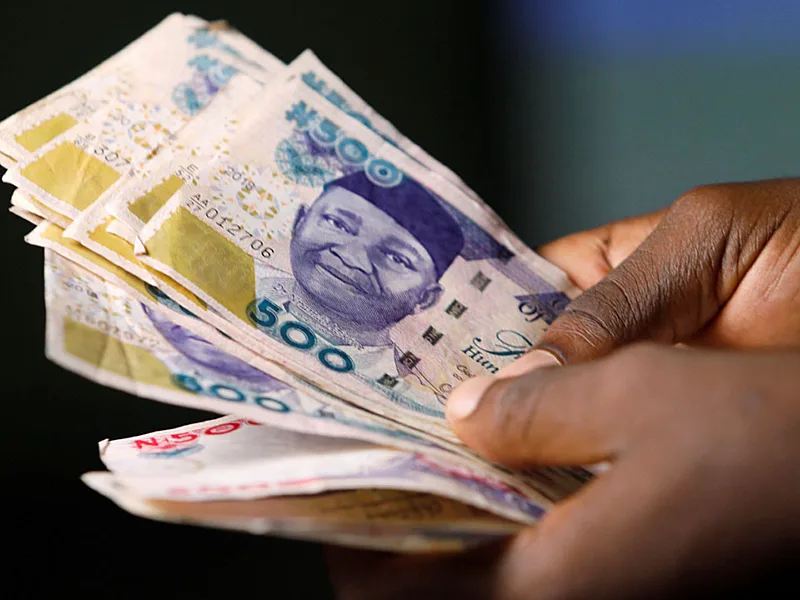 The Money Is There: Here's How Nigerian MSMEs Can Finally Access It