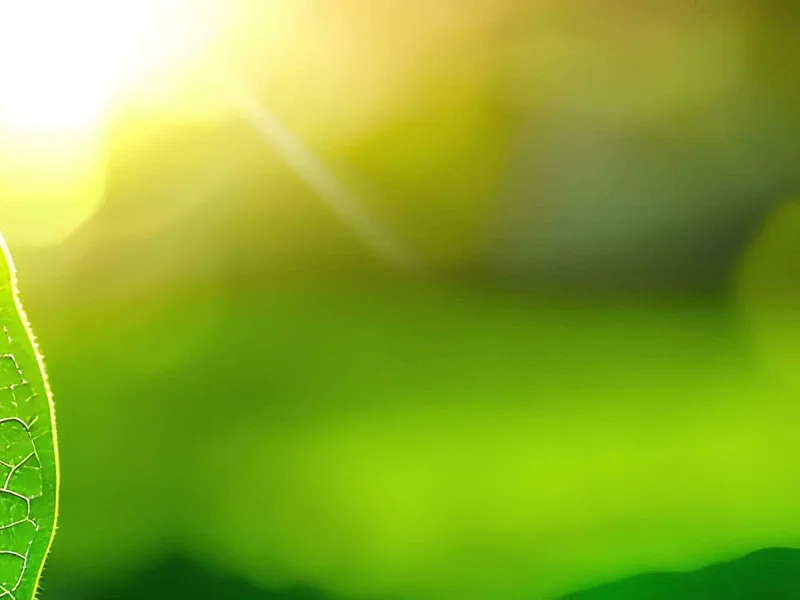 ISSA 5000 guidance raises the bar for credible sustainability assurance in Africa