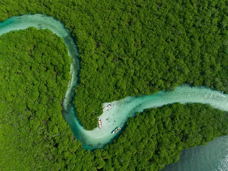 Africa Cannot Separate Plastic Pollution from Biodiversity and Here Is Why