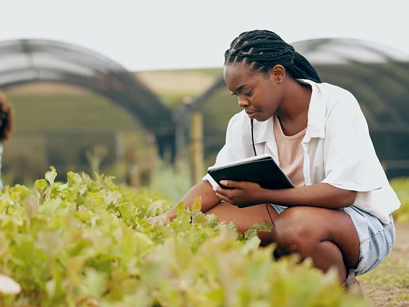 South Africa Is Running a Double Standard on Its Own Food Safety