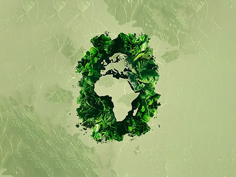 Sustainability Must Become Africa’s Business Operating System, Not Merely Its Annual Report