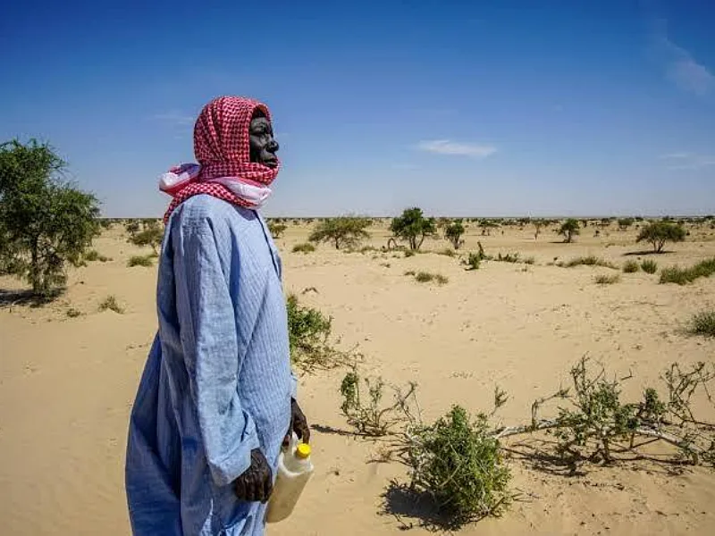 Niger links oasis protection with local value chains for stronger climate resilience