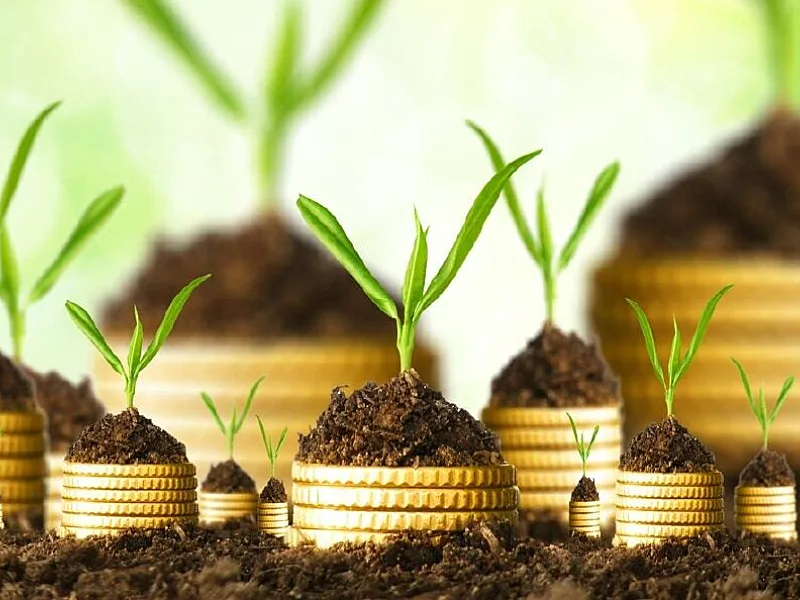 Africa’s ESG progress must move beyond disclosure towards accountability and capital allocation
