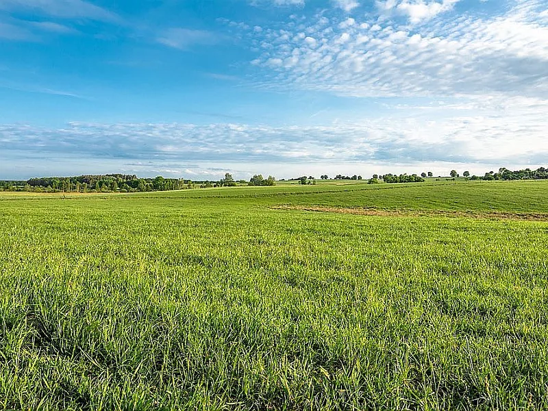 AfDB Urges Africa to Turn Land Restoration Promises Into Bankable Community Action