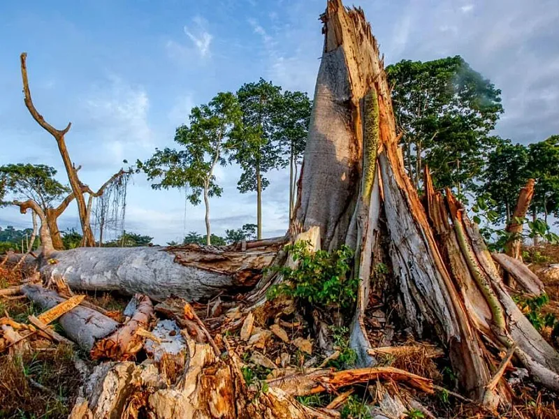 Africa’s Sustainability Crisis Is Now an Execution Test, Not a Vision Deficit