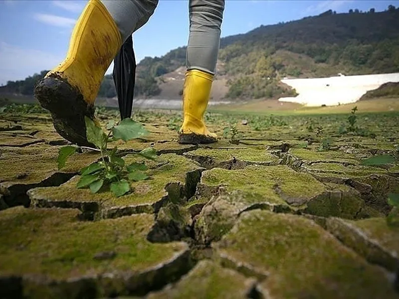 Investors Must Move Climate Action From Portfolios Into Real Economy Policy Now