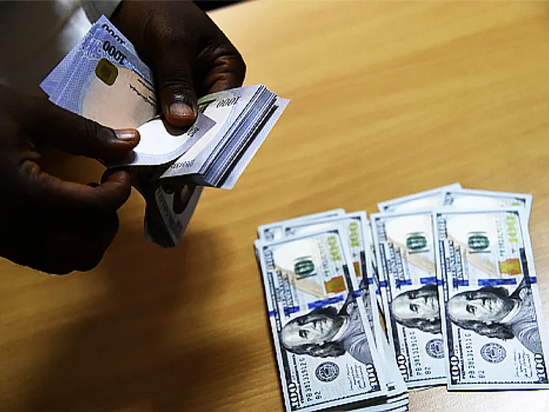 Nigeria Builds Trust Rails to Turn Diaspora Remittances Into Productive Investment Capital