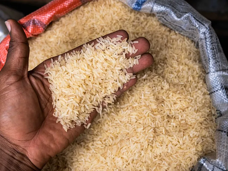 Africa's Rice Record Puts Nigeria's Production Growth and Food Security Under Scrutiny