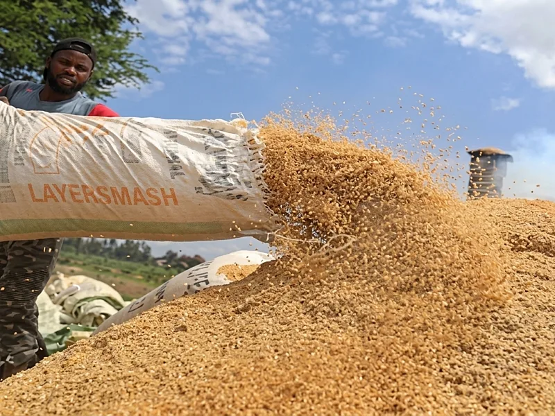 Development banks unite around fertiliser resilience roadmap for vulnerable farmers worldwide