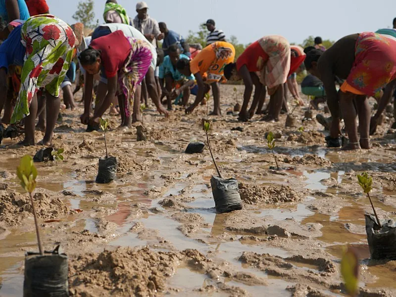 African Communities Demand Climate Services Built Around Local Knowledge and Daily Decisions