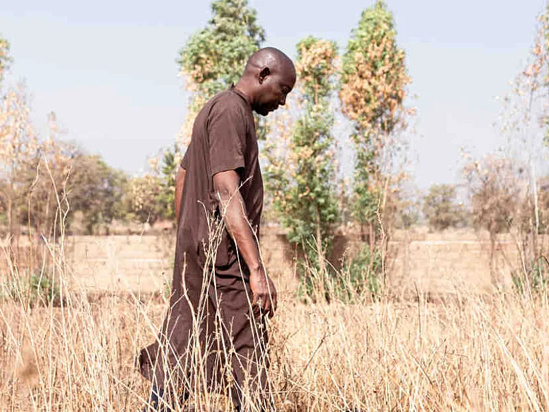 Malawi’s Financing Gap Deepens as Debt Inflation and Climate Shocks Constrain Recovery