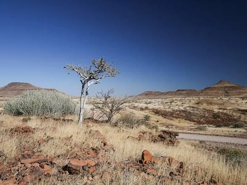 Windhoek Shows Dry African Cities How Nature Can Strengthen Climate Resilience Locally