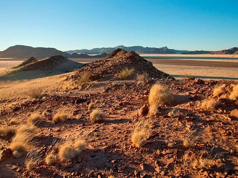 Satellite Study Finds Dryland Greening Hides Increasing Instability Across Global Ecosystems