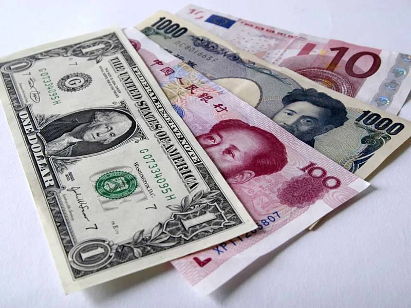 Inside Foreign Exchange Reserves: Composition, Functions and the Cost of Holding Them