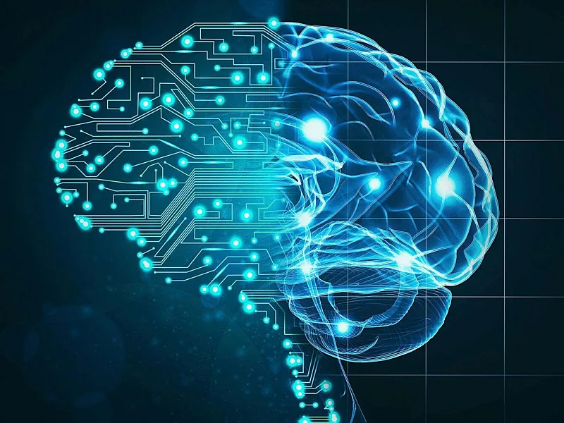 Brain Health And Human Skills Deserve Sustained Investment Alongside Artificial Intelligence Infrastructure