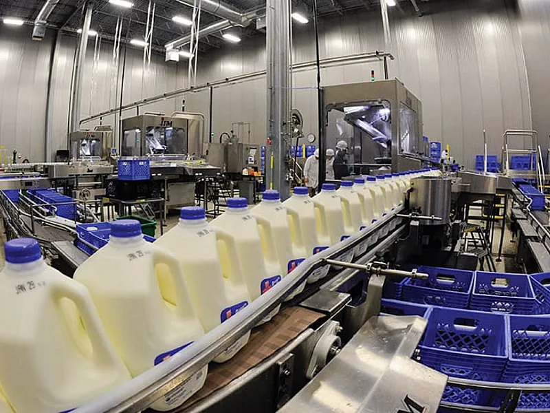 Dairy Industry Survey Connects Margin Pressure With Business Growth And Sustainability Choices