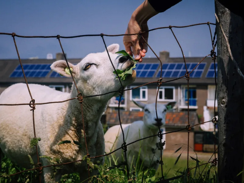 Turning Climate Loans into Capital: How Securitisation Could Unlock Africa's Green Finance