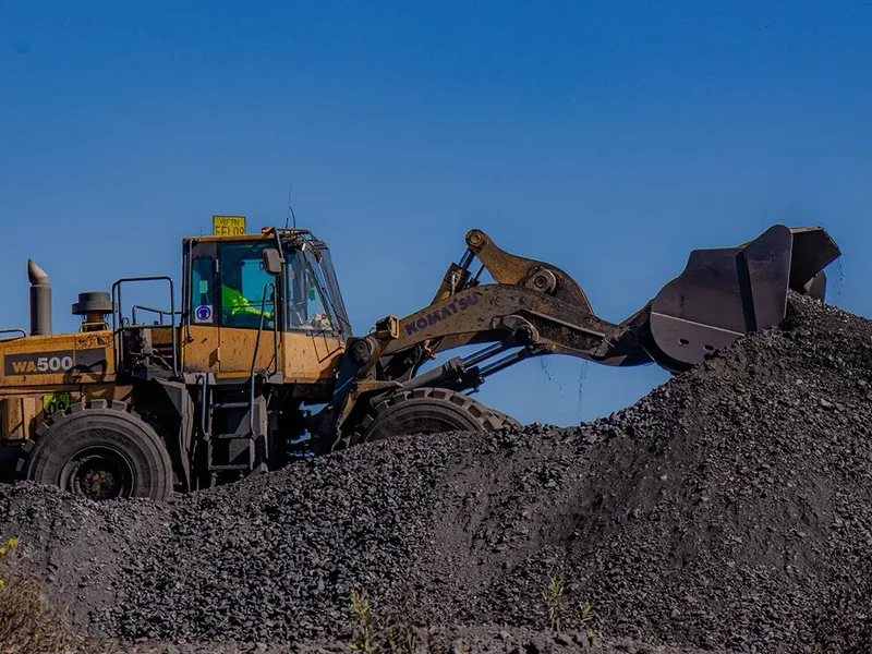 Carbon Removal Projects Seek Finance Through Resilience Benefits And Multiple Revenue Streams