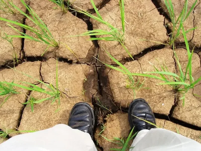 NGFS Warns Climate Shocks Could Rewrite Monetary Policy Across Vulnerable Global Economies