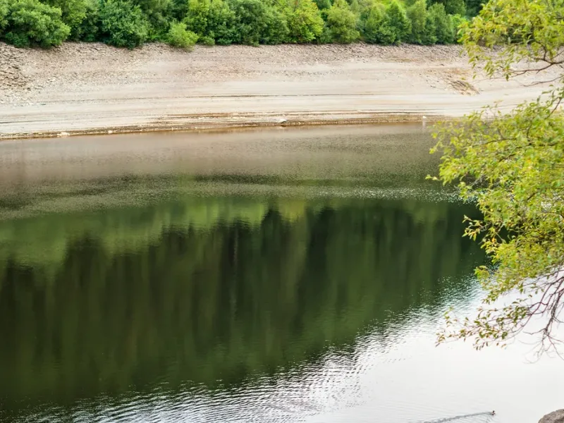 Environmental Science Takes Seven Years on Average to Reach Global Policy