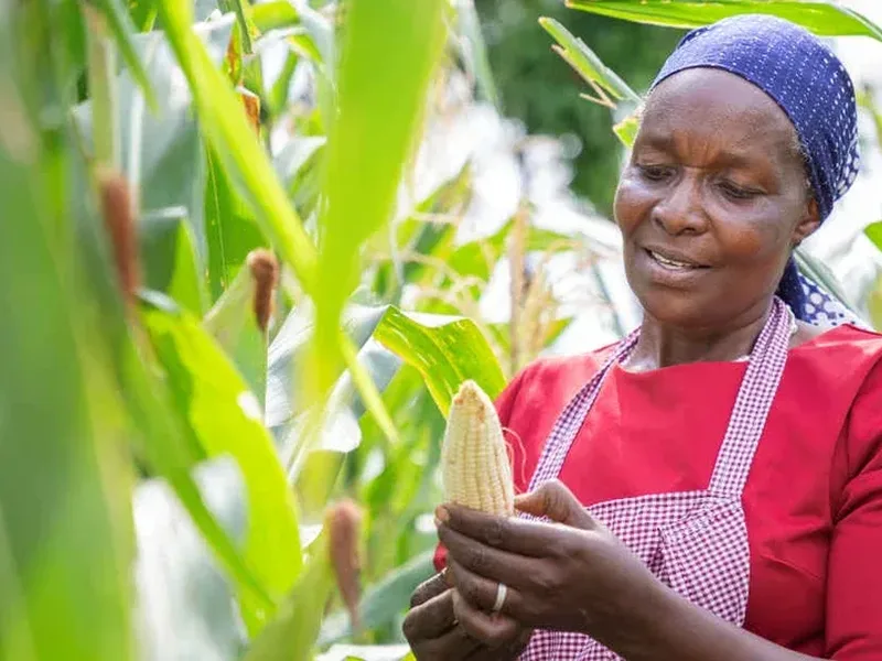 GRI Food Sector Pilot Opens Opportunity for African Voices in Sustainability Reporting