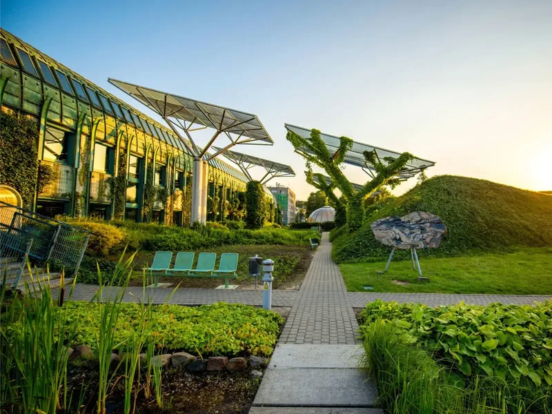 Green, Climate, Biodiversity Finance – What African Corporations Must Know Before Raising Capital