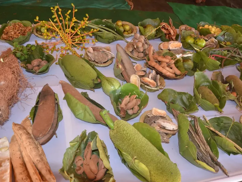 The Food We Never Eat Deepens Hunger And Adds Pressure On Forests