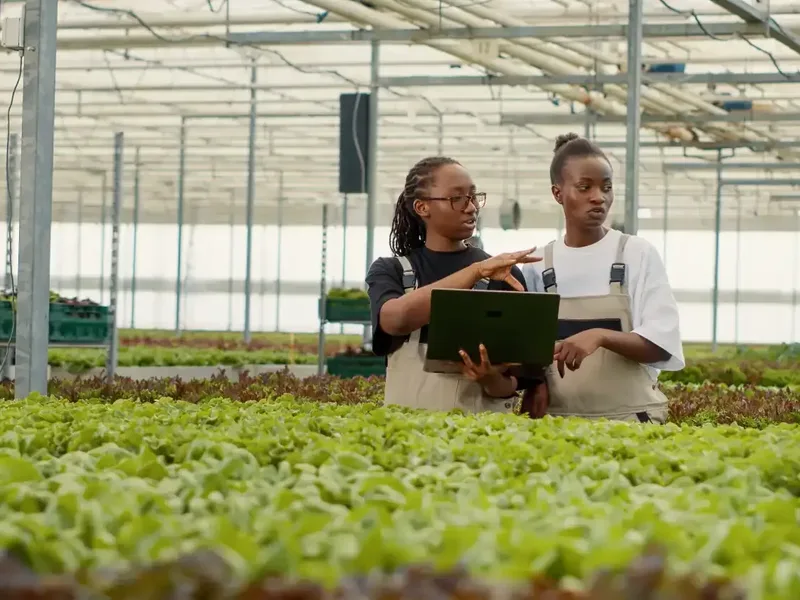 Women Must Become Architects, Owners and Leaders of Africa’s Green Transition