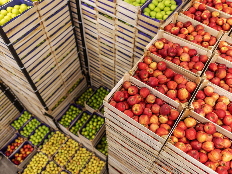 Refrigerating The Future: How Cold Chain Infrastructure Can Save Africa’s Food, Health, and Circular Economy