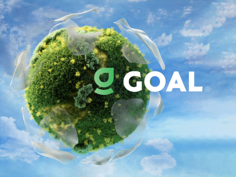 Africa’s Future: Corporate Sustainability Lessons Drawn from GOAL Reports (2024/2025)