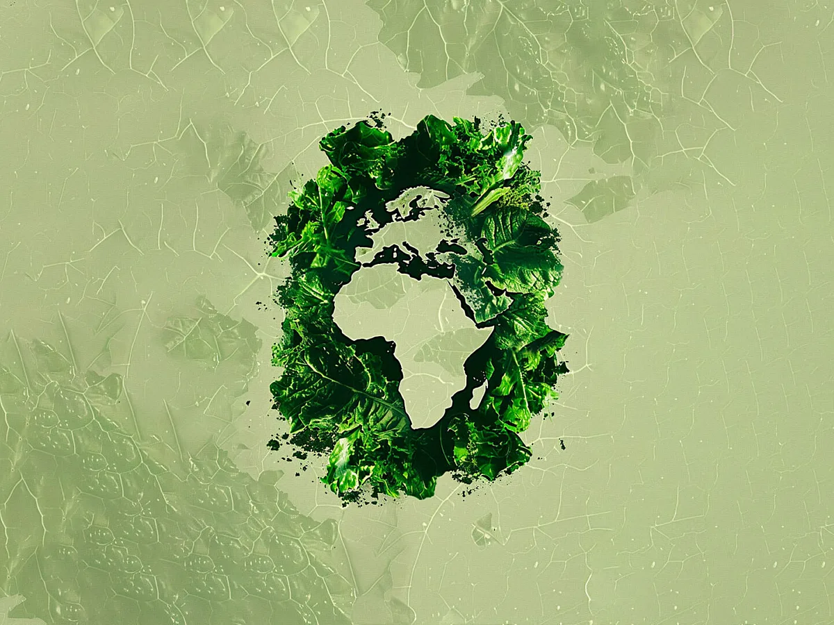 Sustainability Must Become Africa’s Business Operating System, Not Merely Its Annual Report