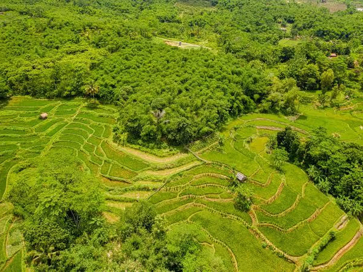 AfDB approves $18.8 million grant to strengthen Ghana's climate-resilient rice sector transformation